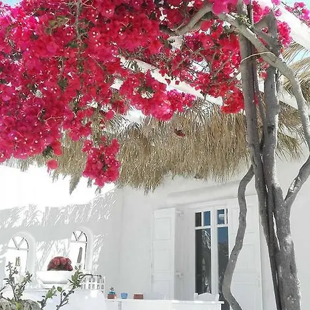 Casa Zen * Ano Mera